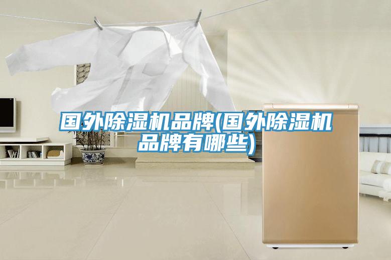 國外榴莲视频官网APP品牌(國外榴莲视频官网APP品牌有哪些)