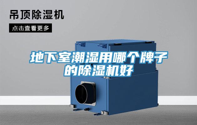 地下室潮濕用哪個牌子的榴莲视频官网APP好