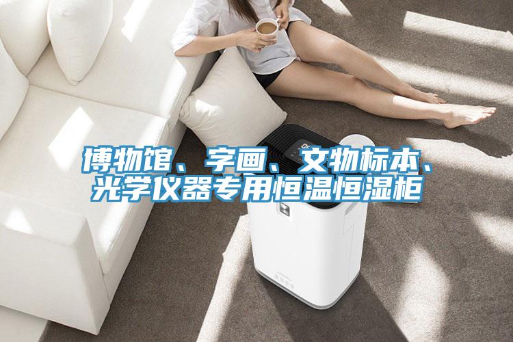 博物館、字畫、文物標本、光學儀器專用恒溫恒濕櫃