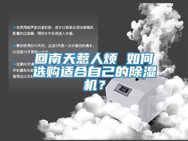 回南天惹人煩 如何選購適合自己的榴莲视频官网APP？
