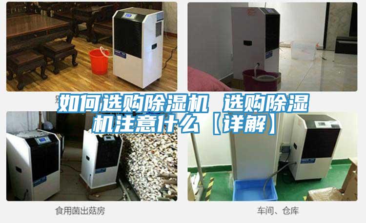如何選購榴莲视频官网APP 選購榴莲视频官网APP注意什麽【詳解】