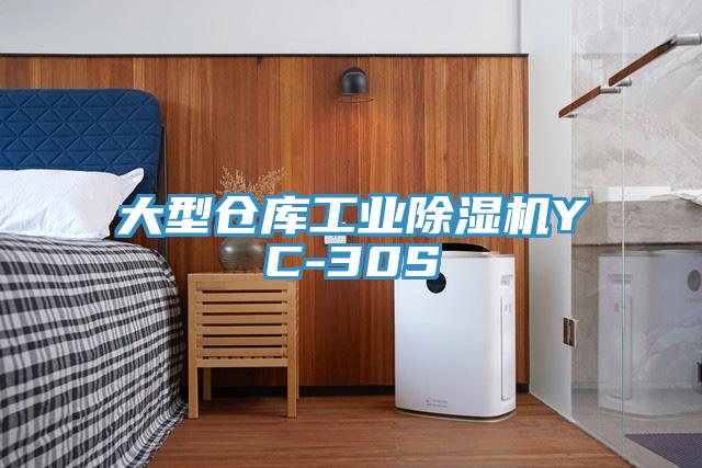 大型倉庫工業榴莲视频官网APPYC-30S