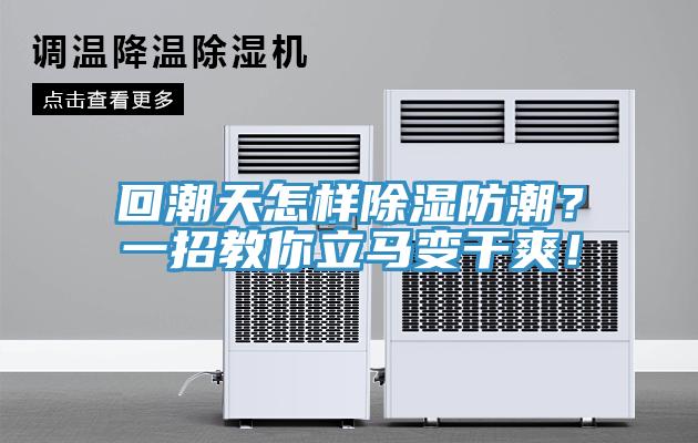 回潮天怎樣除濕防潮？一招教你立馬變幹爽！