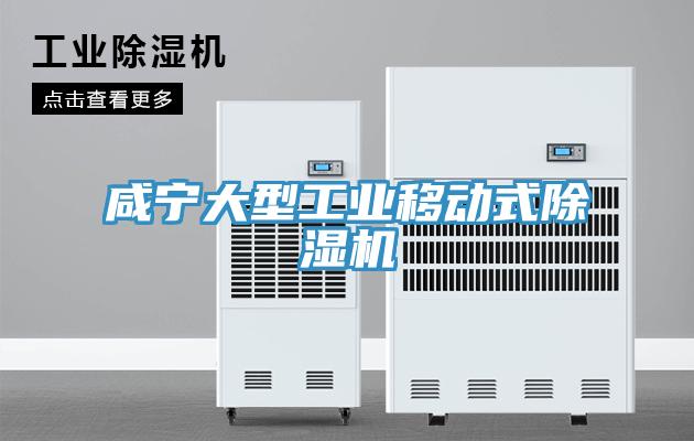 鹹寧大型工業移動式榴莲视频官网APP
