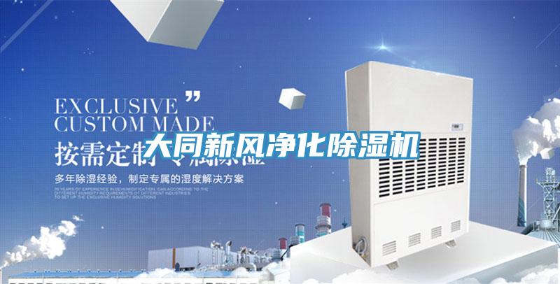 大同新風淨化榴莲视频官网APP