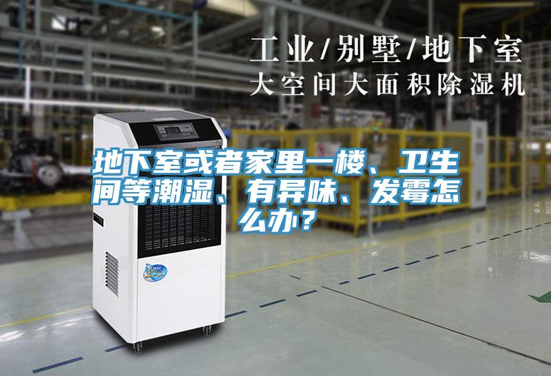 地下室或者家裏一樓、衛生間等潮濕、有異味、發黴怎麽辦？
