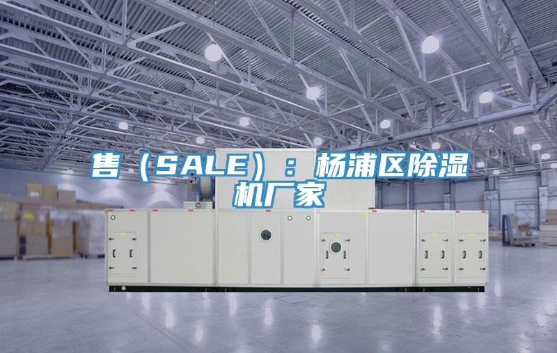售（SALE）：楊浦區榴莲视频官网APP廠家