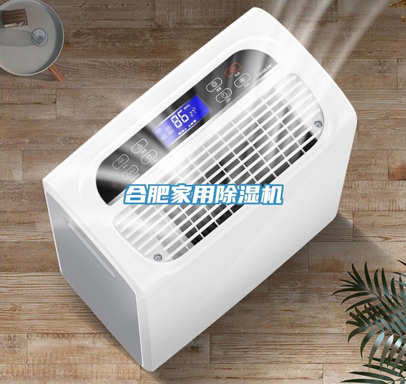 合肥家用榴莲视频官网APP