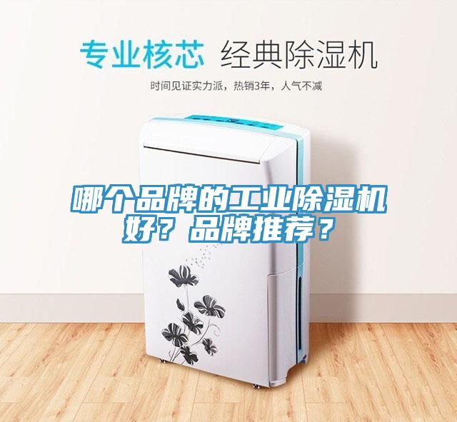 哪個品牌的工業榴莲视频官网APP好？品牌推薦？