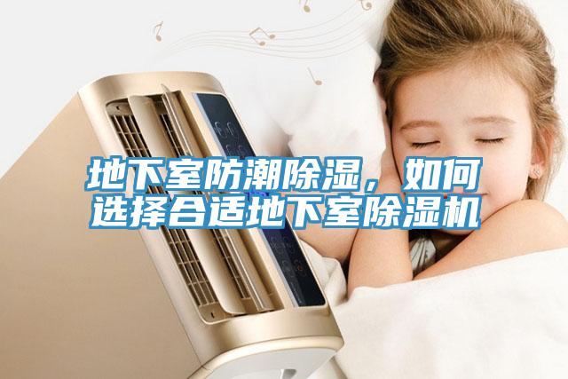 地下室防潮除濕，如何選擇合適地下室榴莲视频官网APP