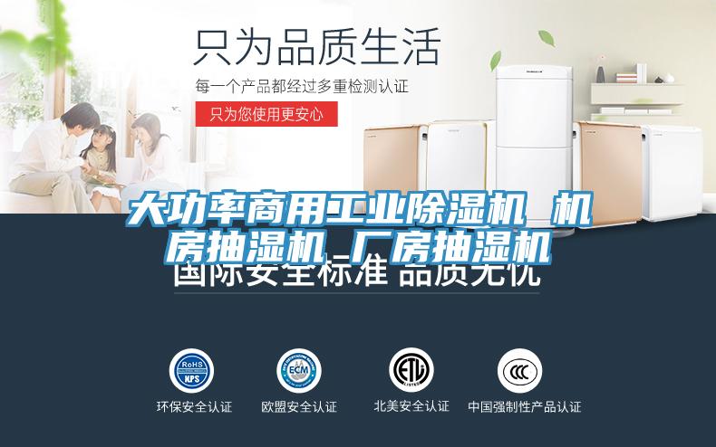 大功率商用工業榴莲视频官网APP 機房抽濕機 廠房抽濕機