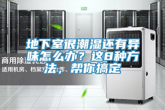 地下室很潮濕還有異味怎麽辦？這8種方法，幫你搞定