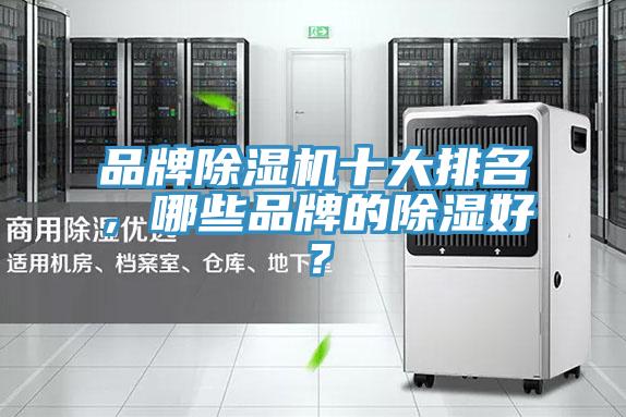 品牌榴莲视频官网APP十大排名，哪些品牌的除濕好？