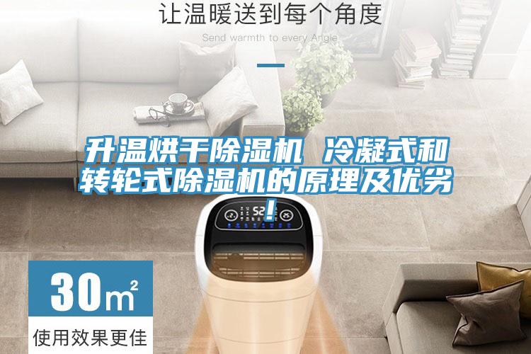 升溫烘幹榴莲视频官网APP 冷凝式和轉輪式榴莲视频官网APP的原理及優劣！