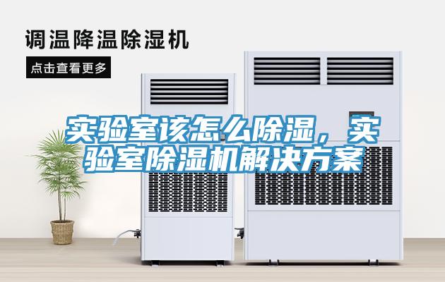 實驗室該怎麽除濕，實驗室榴莲视频官网APP解決方案