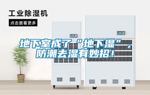 地下室成了“地下濕”，防潮去濕有妙招！