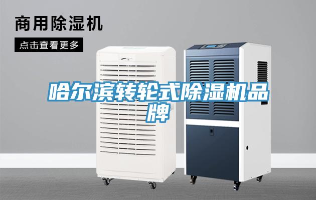 哈爾濱轉輪式榴莲视频官网APP品牌