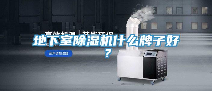 地下室榴莲视频官网APP什麽牌子好？