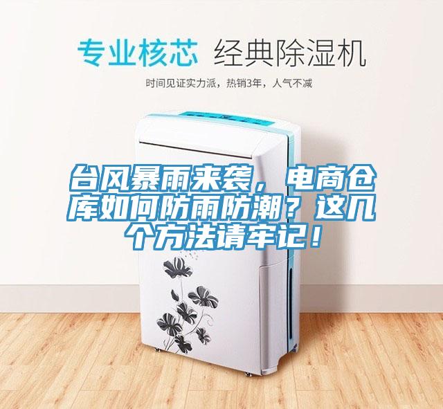 台風暴雨來襲，電商倉庫如何防雨防潮？這幾個方法請牢記！