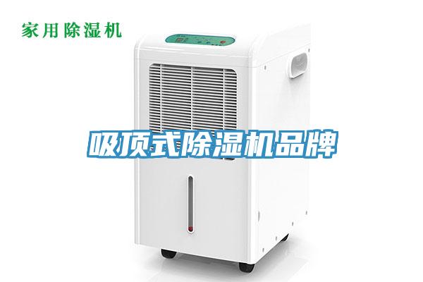 吸頂式榴莲视频官网APP品牌