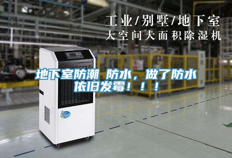 地下室防潮≠防水，做了防水依舊發黴！！！