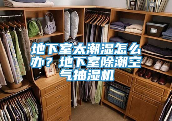地下室太潮濕怎麽辦？地下室除潮空氣抽濕機