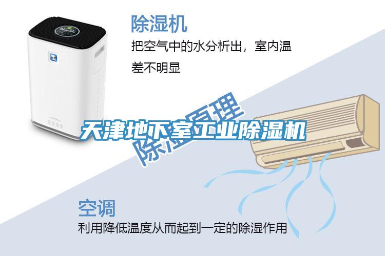 天津地下室工業榴莲视频官网APP