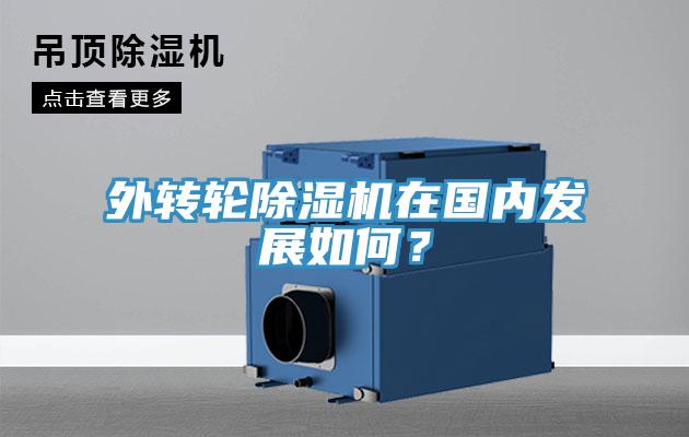 外轉輪榴莲视频官网APP在國內發展如何？