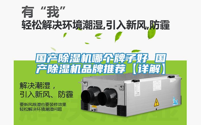 國產榴莲视频官网APP哪個牌子好 國產榴莲视频官网APP品牌推薦【詳解】