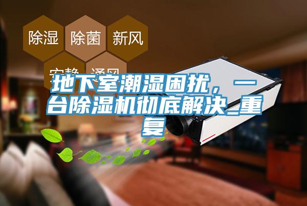 地下室潮濕困擾，一台榴莲视频官网APP徹底解決_重複