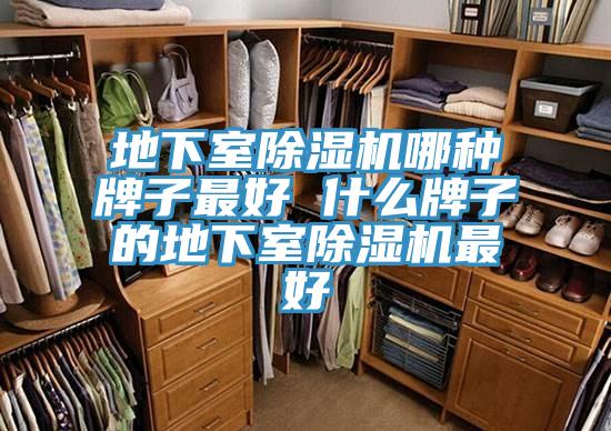 地下室榴莲视频官网APP哪種牌子最好 什麽牌子的地下室榴莲视频官网APP最好