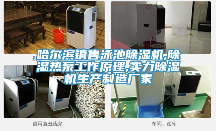 哈爾濱銷售泳池榴莲视频官网APP,除濕熱泵工作原理,實力榴莲视频官网APP生產製造廠家