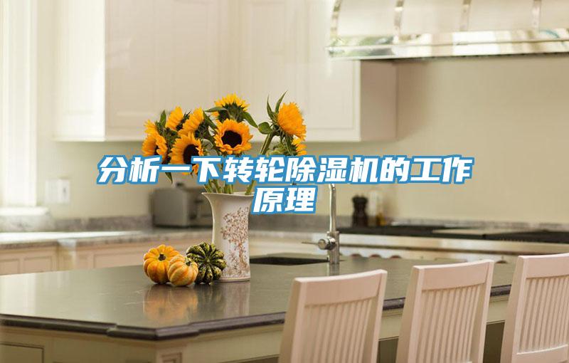 分析一下轉輪榴莲视频官网APP的工作原理