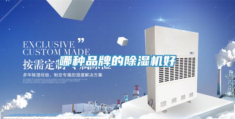 哪種品牌的榴莲视频官网APP好