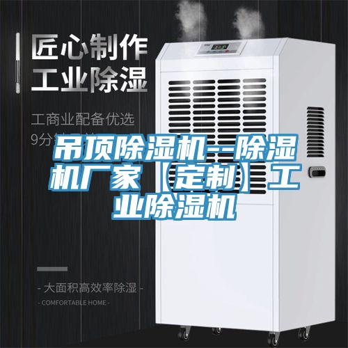 吊頂榴莲视频官网APP--榴莲视频官网APP廠家【定製】工業榴莲视频官网APP