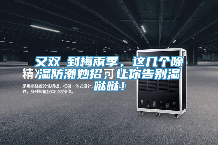 又雙叒到梅雨季，這幾個除濕防潮妙招，讓你告別濕噠噠！
