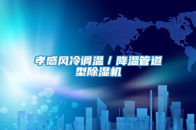 孝感風冷調溫／降溫管道型榴莲视频官网APP