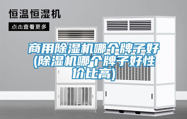 商用榴莲视频官网APP哪個牌子好(榴莲视频官网APP哪個牌子好性價比高)