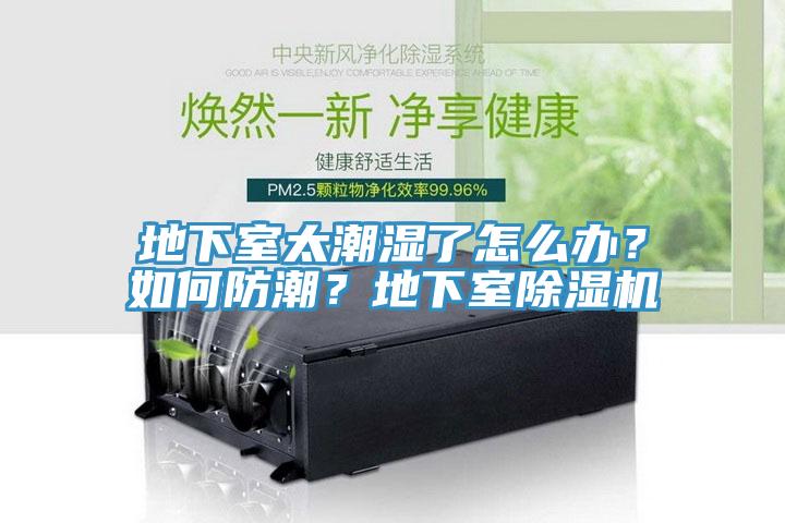 地下室太潮濕了怎麽辦？如何防潮？地下室榴莲视频官网APP