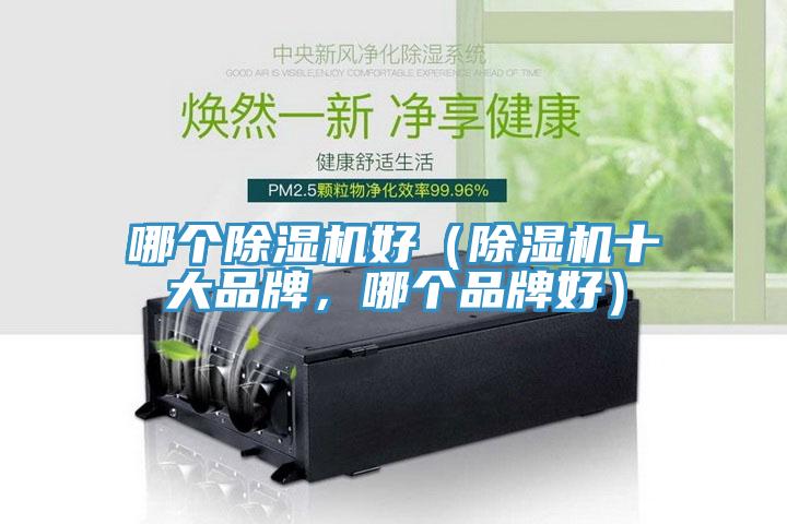 哪個榴莲视频官网APP好（榴莲视频官网APP十大品牌，哪個品牌好）