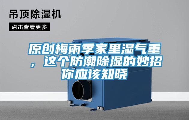 原創梅雨季家裏濕氣重，這個防潮除濕的妙招你應該知曉