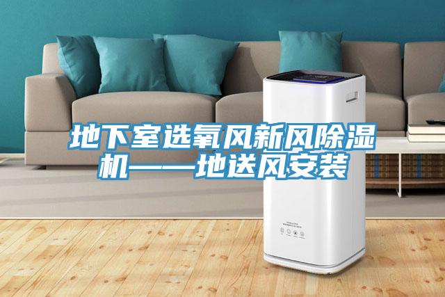 地下室選氧風新風榴莲视频官网APP——地送風安裝