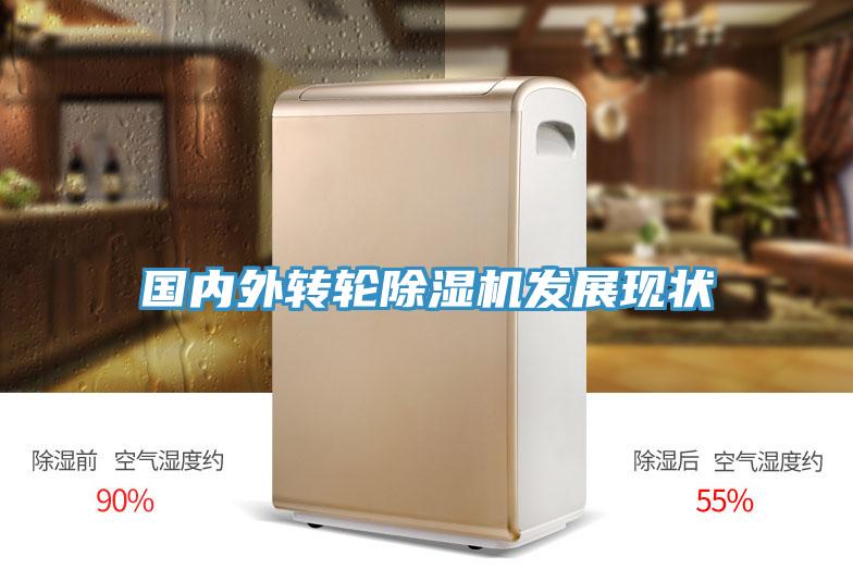 國內外轉輪榴莲视频官网APP發展現狀