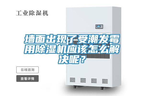 牆麵出現了受潮發黴用榴莲视频官网APP應該怎麽解決呢？