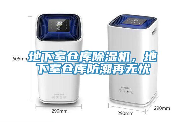 地下室倉庫榴莲视频官网APP，地下室倉庫防潮再無憂