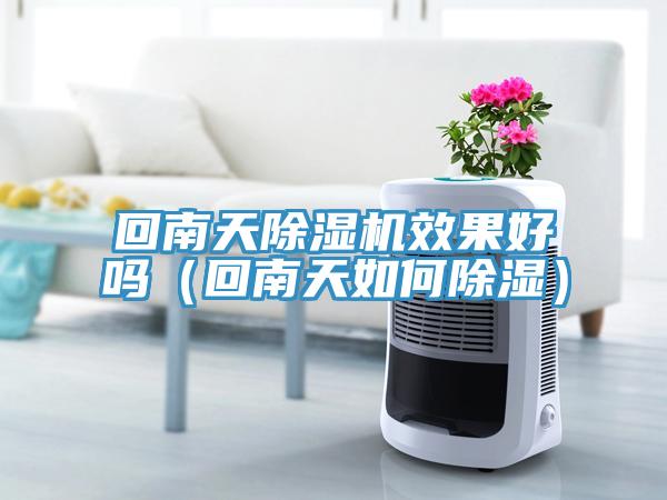 回南天榴莲视频官网APP效果好嗎（回南天如何除濕）