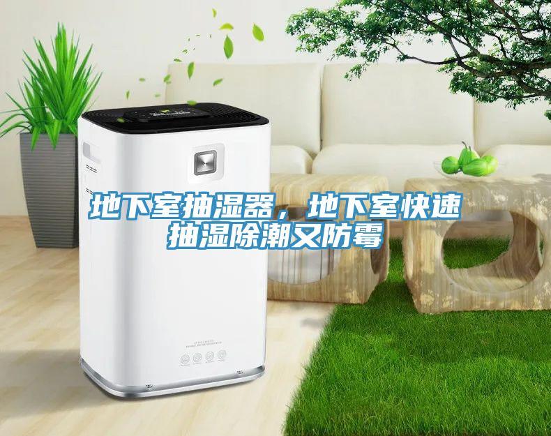 地下室抽濕器，地下室快速抽濕除潮又防黴