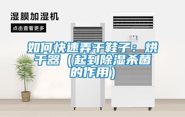 如何快速弄幹鞋子：烘幹器（起到除濕殺菌的作用）