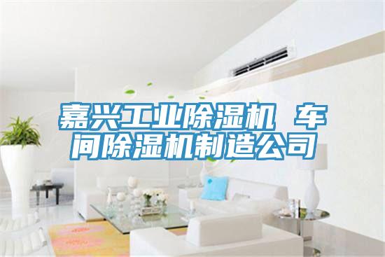 嘉興工業榴莲视频官网APP 車間榴莲视频官网APP製造公司