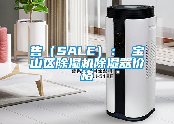 售（SALE）： 寶山區榴莲视频官网APP除濕器價格